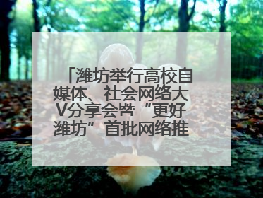 潍坊举行高校自媒体、社会网络大V分享会暨“更好潍坊”首批网络推介官聘任仪式